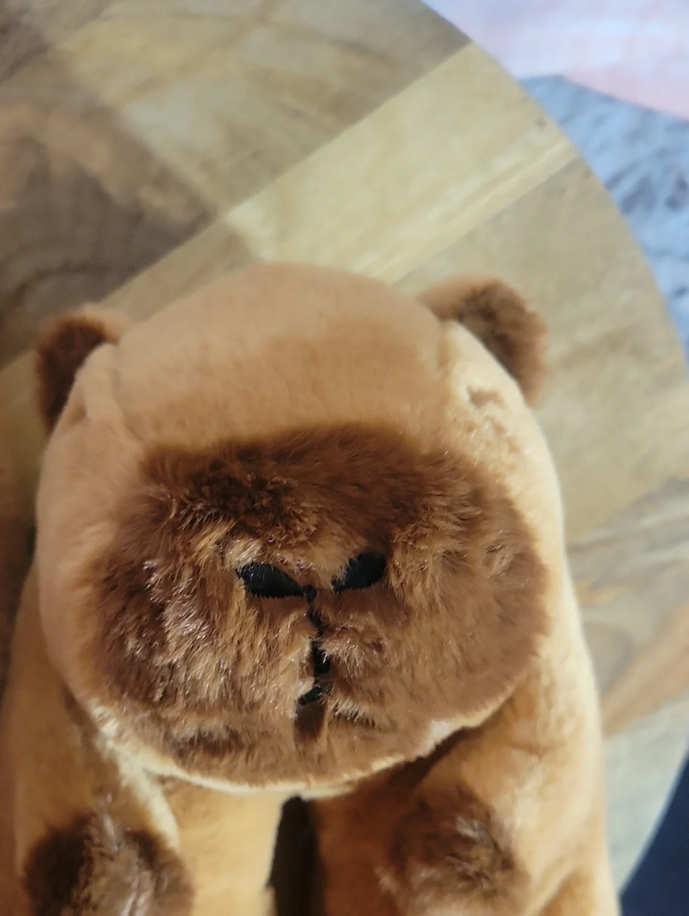 Capybara Slippers